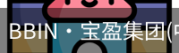 BIN宝盈集团